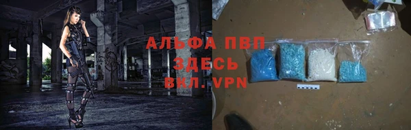 стафф Россошь