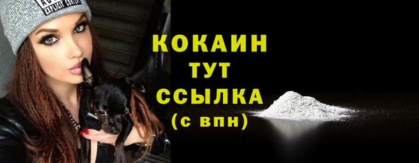 гашик Рославль