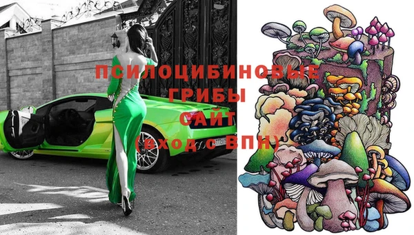 дурь Данков