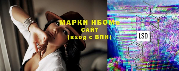 стафф Россошь